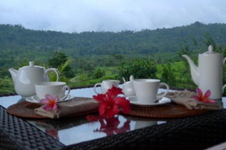 Villa Shantiasa Bali Sidemen  Bagian luar foto