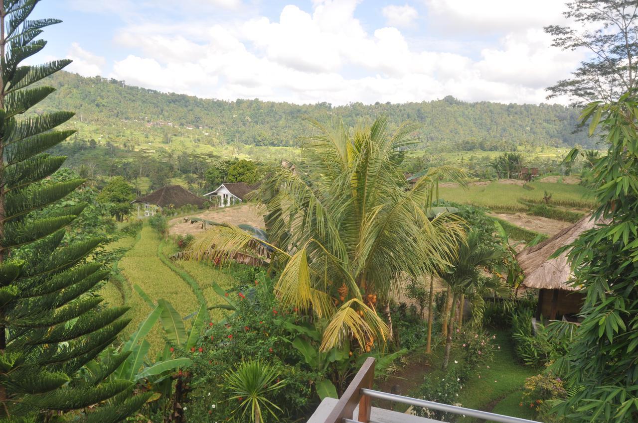 Villa Shantiasa Bali Sidemen  Bagian luar foto