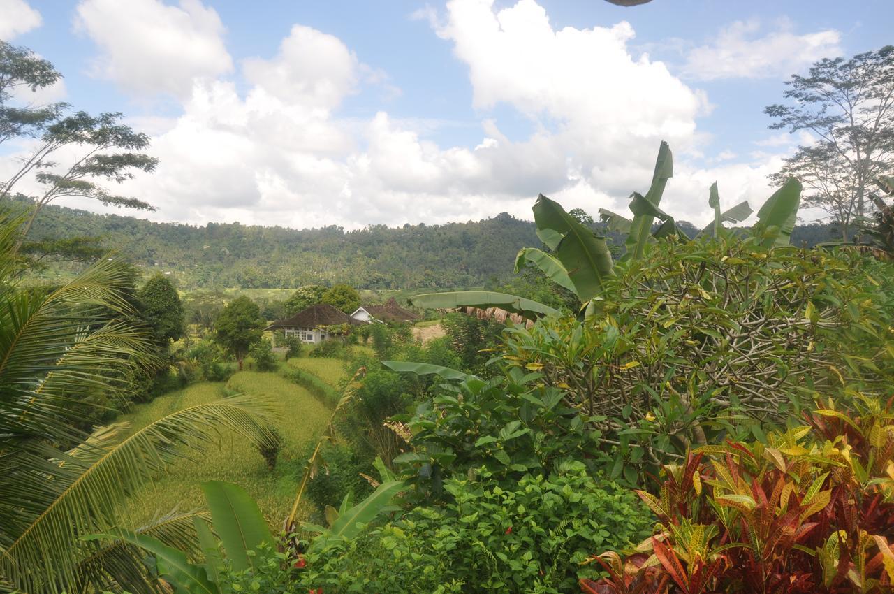 Villa Shantiasa Bali Sidemen  Bagian luar foto